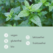 Lade das Bild in den Galerie-Viewer, BIO GRÜNE MINZE TEE - Pyramidenteebeutel CARI Nutrition