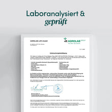 Lade das Bild in den Galerie-Viewer, EISENPOWER (Eisen + Vitamin C) CARI Nutrition