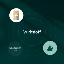 Lade das Bild in den Galerie-Viewer, BIO GRÜNE MINZE TEE - Pyramidenteebeutel CARI Nutrition