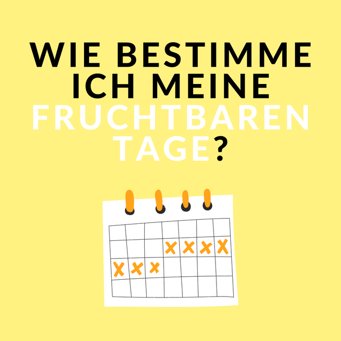 Wie kann ich meine fruchtbaren Tage bestimmen?