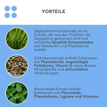 Lade das Bild in den Galerie-Viewer, RESVERATROL+ - Sägepalme und Kürbiskern CARI Nutrition 
