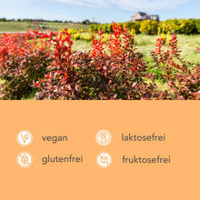 Lade das Bild in den Galerie-Viewer, Berberin (500mg) CARI Nutrition 
