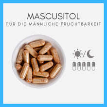 Lade das Bild in den Galerie-Viewer, MASCUSITOL CARI Nutrition 
